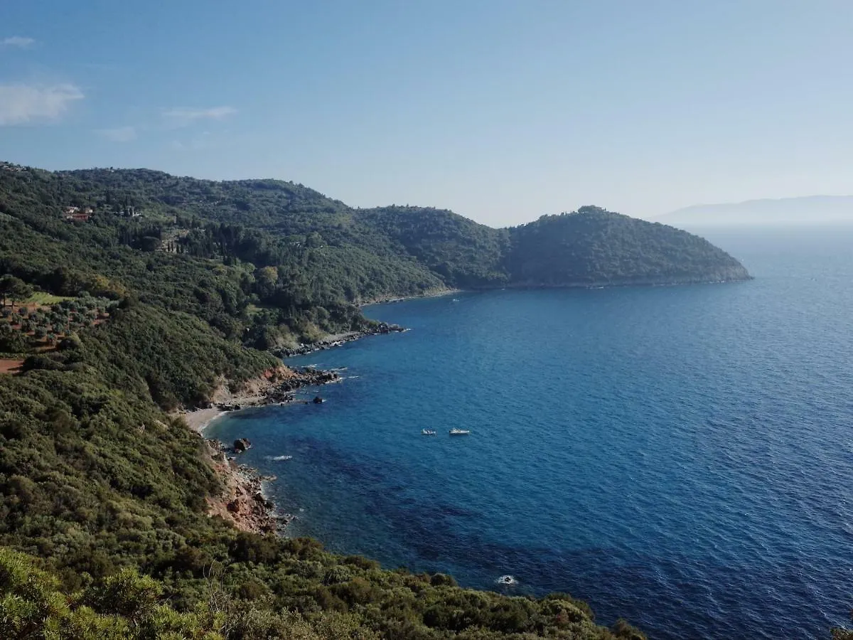 Mediterranean Villa Porto Santo Stefano  Hébergement de vacances Porto Santo Stefano (Grosseto)